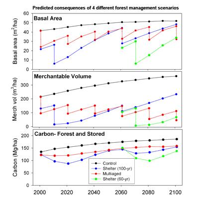 Robert Seymour: Predicting Stand Development and Structure in Multi-Aged Northern Conifer Forests