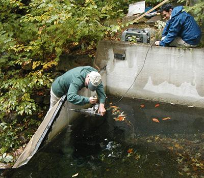 James Shanley: How Climate Change Affects Organic Carbon in Northern Forest Watersheds