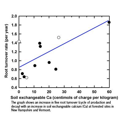 Jamie Shanley: Another Threat from Acid Rain? Reduced Root Turnover with Calcium Depletion