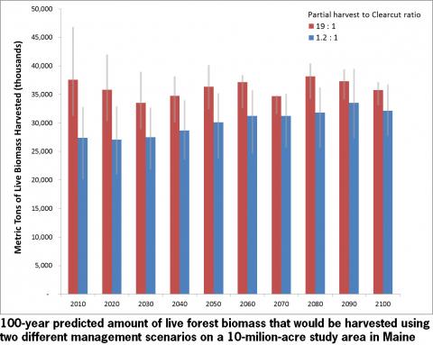 Erin Simons-Legaard: Hundred Year Predicted Benefits of Including Clearcutting in Management of Maine's Forests