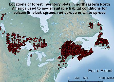 Erin Simons-Legaard: Future Distribution and Productivity of Spruce-Fir Under Climate Change