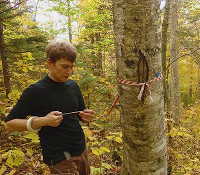 Allan Strong: Remotely Sensed LiDAR Data Detects Competitive Interactions Between Trees and Understory Vegetation 