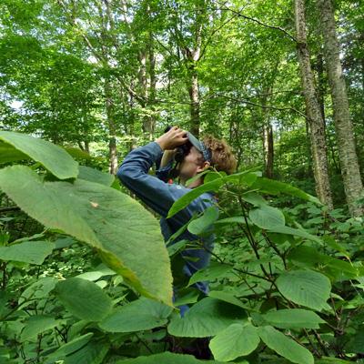 Allan Strong & Christopher Hansen: Testing the Use of LiDAR Remotely Sensed Data for Assessing Tree Health and Insect and Bird Diversity