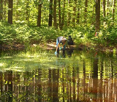 Vivien Taylor: Mercury Accumulation in Forest Vernal Pools, Invertebrates and Amphibians 