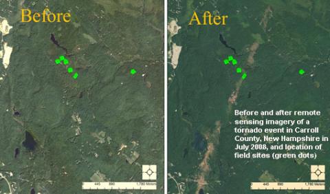 Nathan Torbick: Measuring Disturbance to Forests with New Remote Sensing Technologies