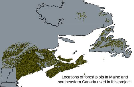 Aaron Weiskittel: Fine-tuning Predictions of Forest Tree Growth Response to Thinning and Climate Change