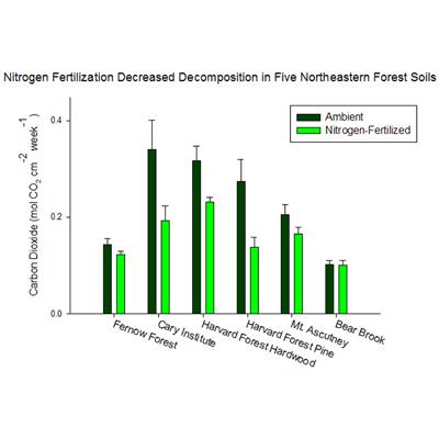 Marissa Weiss: Nitrogen Fertilization Reduces Soil Decomposition at Five Northeastern Forest Sites