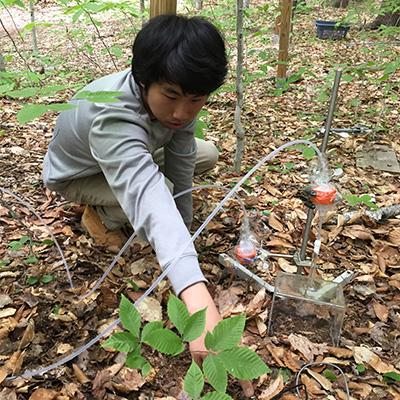 Student works with research equipment on forest floor