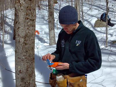 Ruth Yanai & Adam Wild: Soil Nutrients Affect the Sweetness of Maple Sap