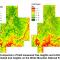 Coeli Hoover: LiDAR Data Describe Northern Forest Structure and Habitat But Not Biomass