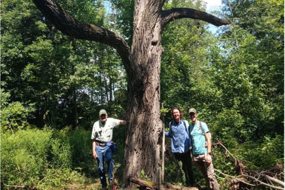 Partnership with Abenaki for Conservation and Restoration of the ...